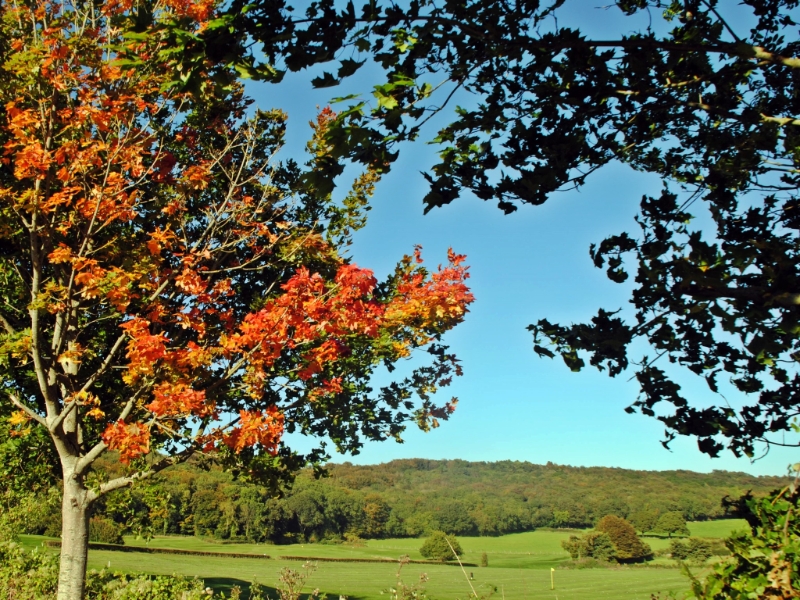DSC 1465