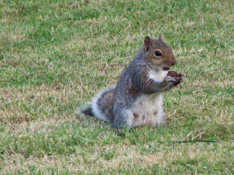 IMG 0739