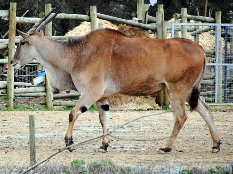DSC 3111